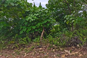 Kampung Bukit Lanchung