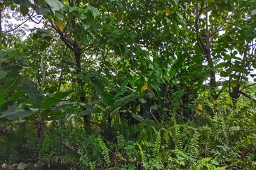 Kampung Bukit Lanchung