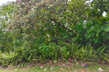 Kampung Bukit Lanchung