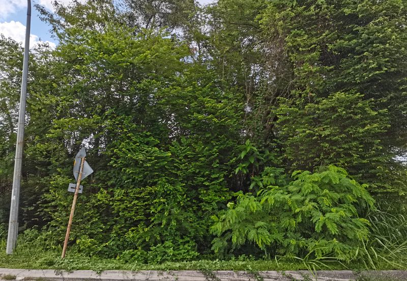 Kampung Bukit Lanchung