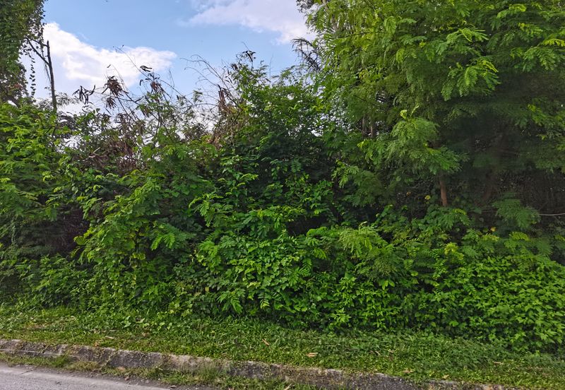 Kampung Bukit Lanchung