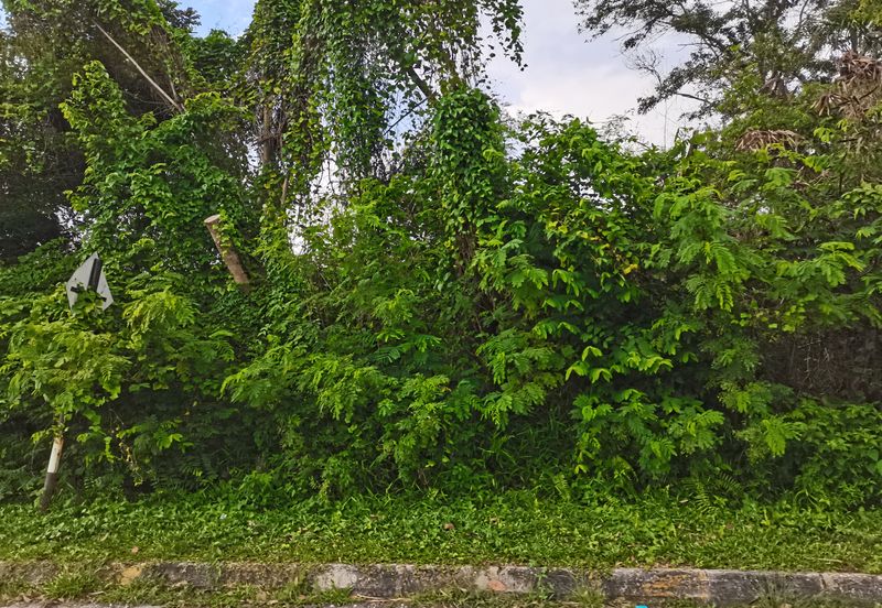 Kampung Bukit Lanchung