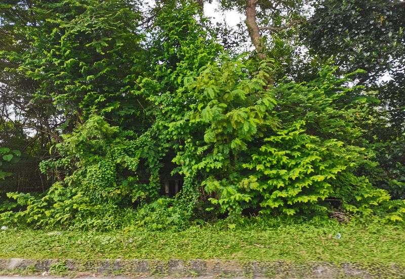 Kampung Bukit Lanchung