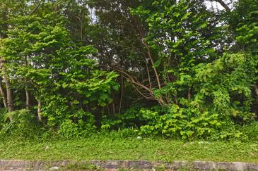 Kampung Bukit Lanchung