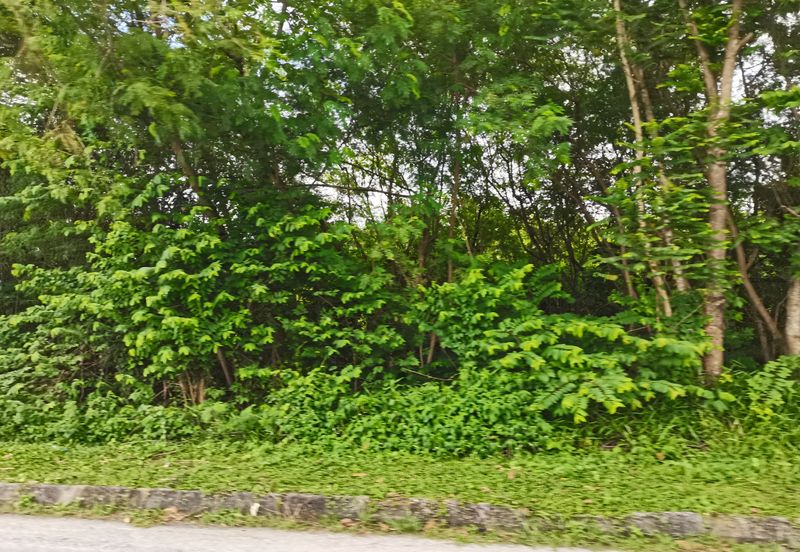 Kampung Bukit Lanchung