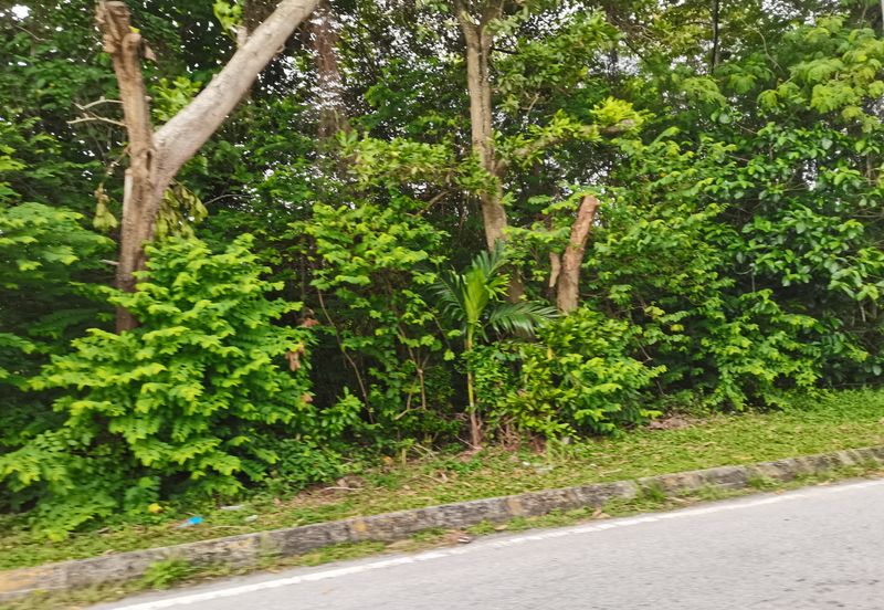 Kampung Bukit Lanchung