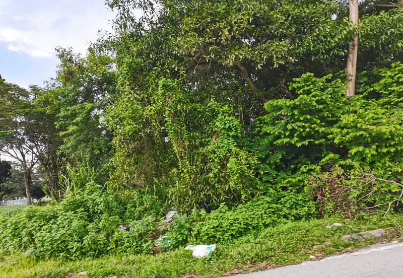 Kampung Bukit Lanchung