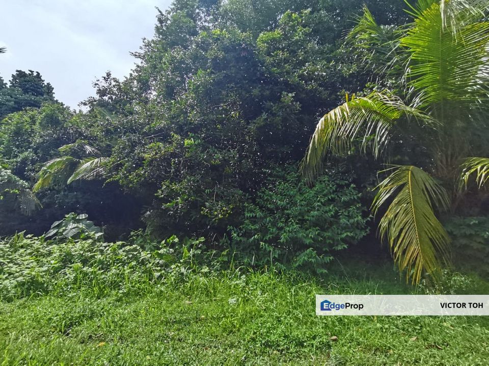 Agriculture land Bukit Selambau Sungai Petani Kuala Muda for sale , Kedah, Sungai Petani