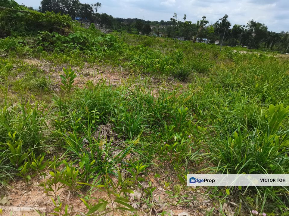 Jalan Morib Kancung Darat Banting Kuala Langat agriculture land for sale fronting main road , Selangor, Banting