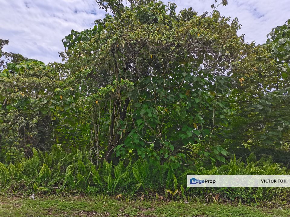 Light industrial park suitable for food manufacturing warehouse, Negeri Sembilan, Labu