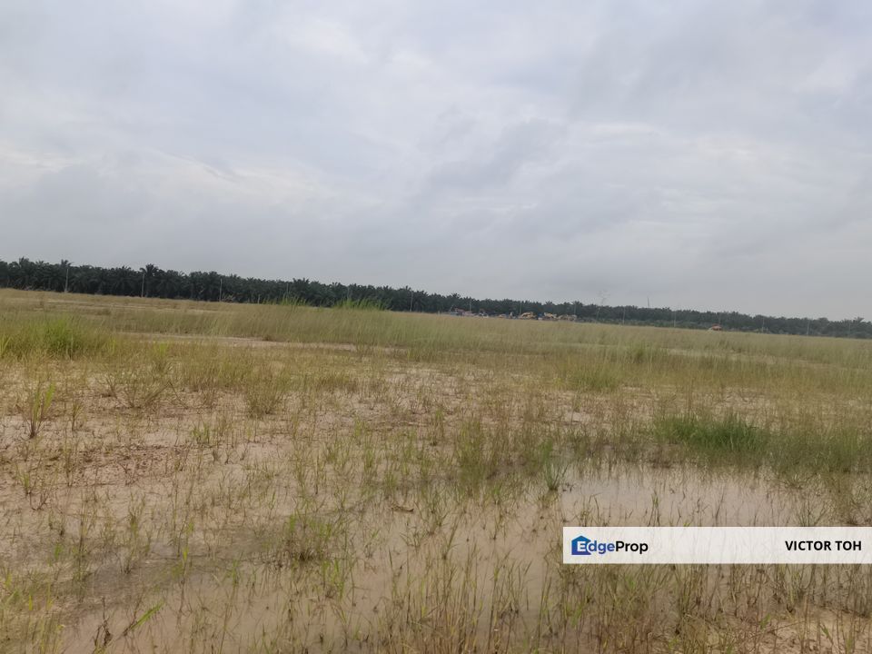 Sepang heavy industrial land , Selangor, Sepang