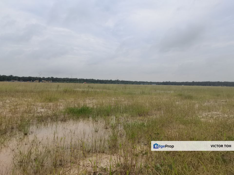 Sungai Petani agriculture land for sale , Kedah, Sungai Petani