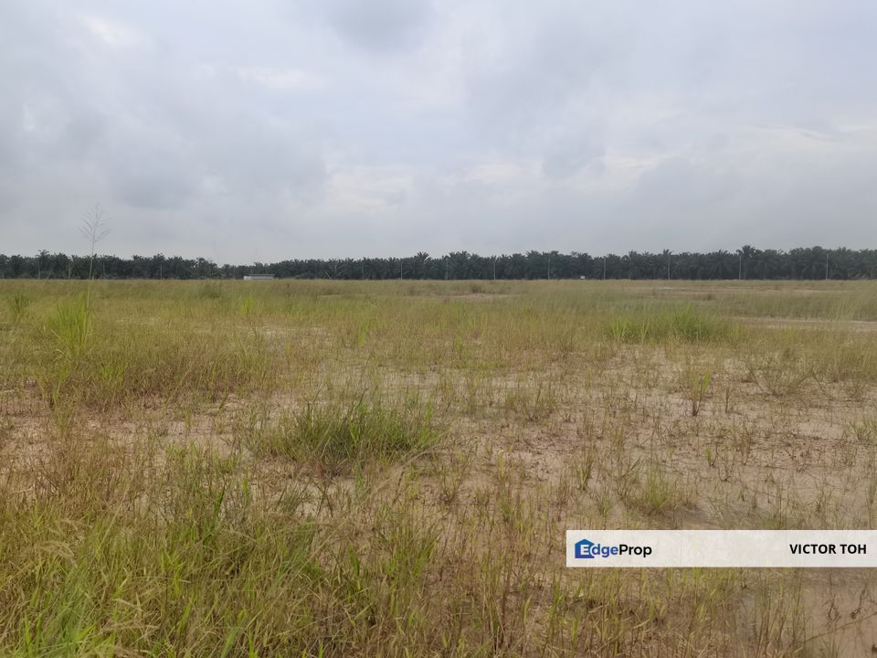 Sungai Petani agriculture land for sale , Kedah, Sungai Petani