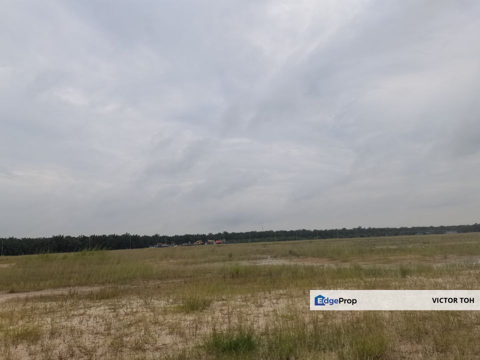 Sungai Petani agriculture land for sale , Kedah, Sungai Petani