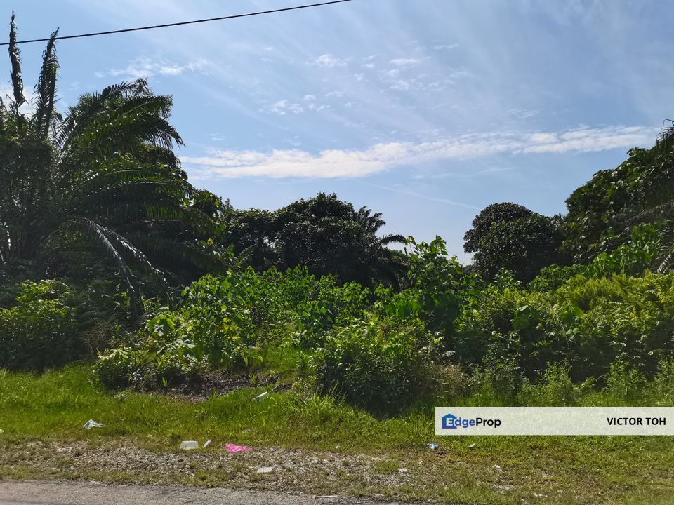 Kulim agriculture land for sale Kulim Hi-tech park, Kedah, Kulim