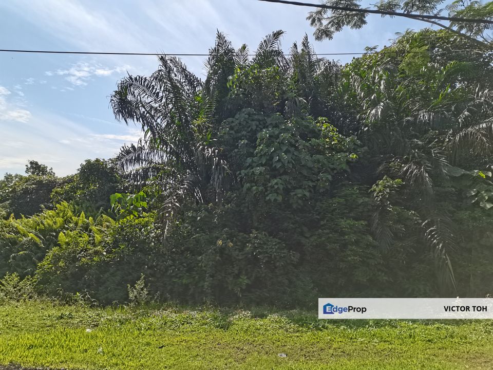 Kulim agriculture land for sale Kulim Hi-tech park, Kedah, Kulim