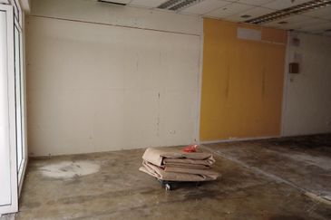 Platinum Mondrian (Pv128)