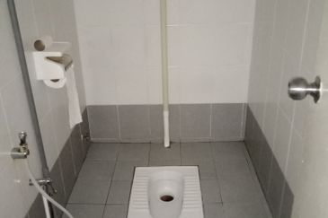 Platinum Mondrian (Pv128)