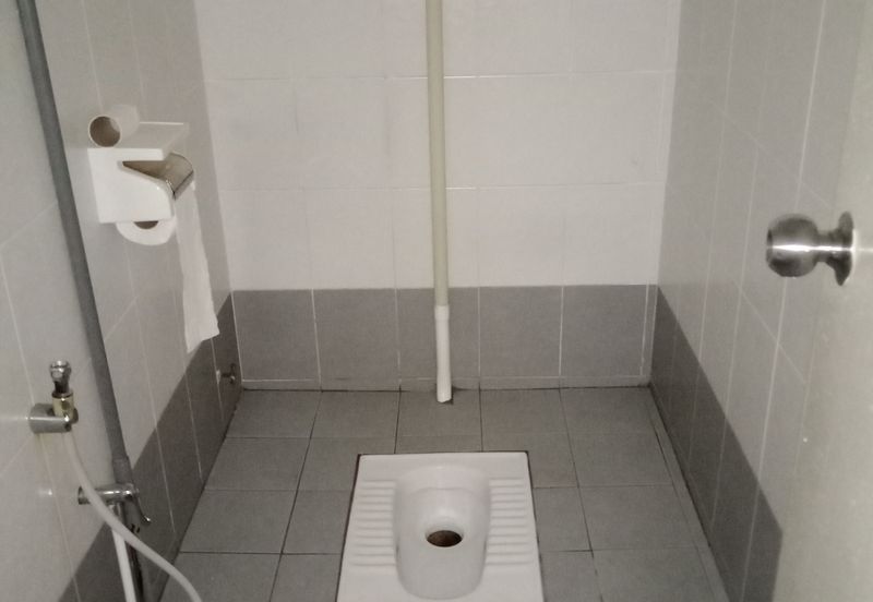 Platinum Mondrian (Pv128)