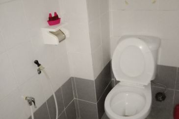 Platinum Mondrian (Pv128)