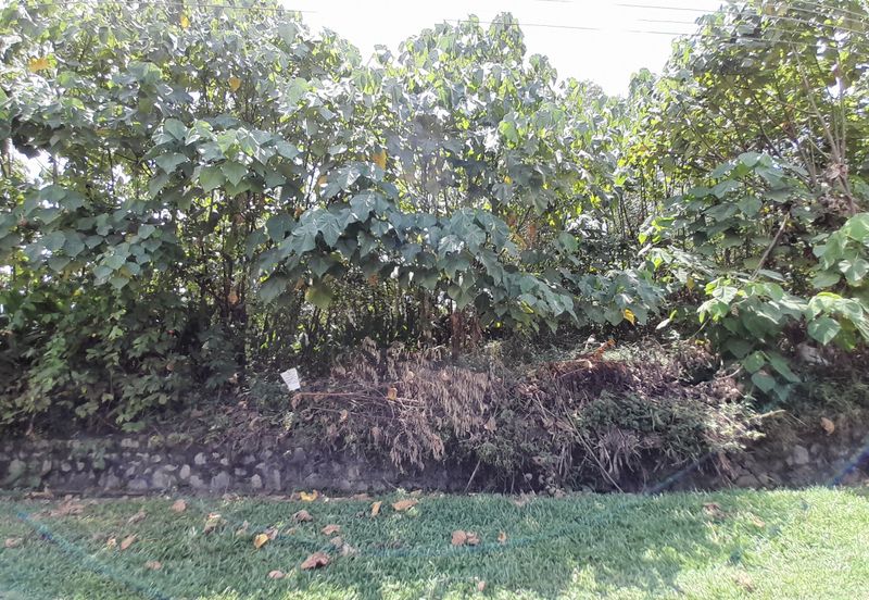 Seksyen 2, Bandar Country Homes