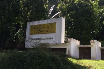 RAINFOREST SANCTUARY