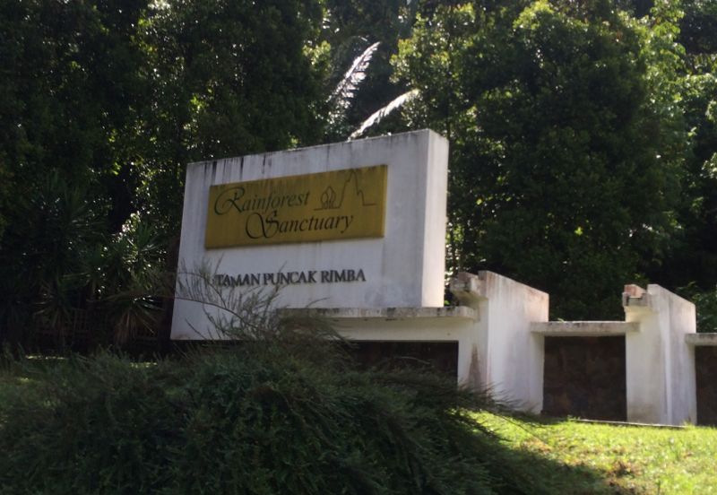 RAINFOREST SANCTUARY