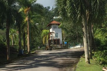 RAINFOREST SANCTUARY