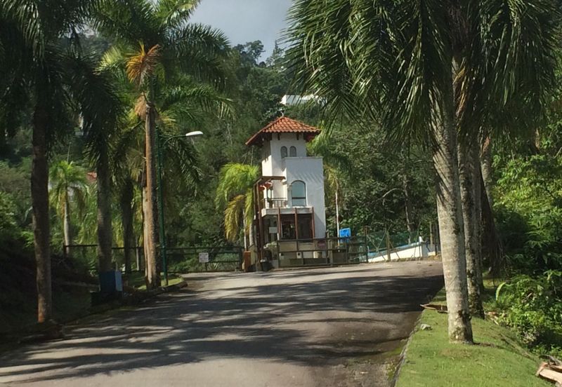 RAINFOREST SANCTUARY