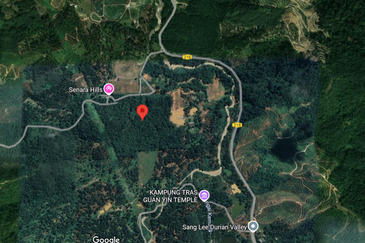 agricultural land near San Lee , Raud near tanah aina soraya resort