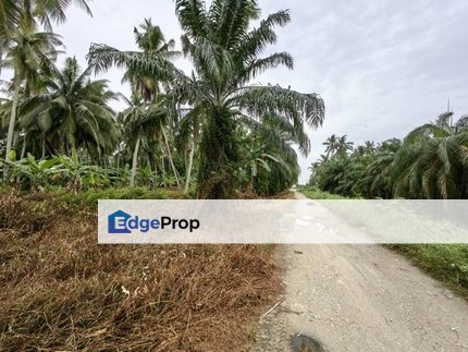 17.5 Acres Freehold Zone Residential Tanjung Karang Kuala Selangor, Selangor, Tanjong Karang 