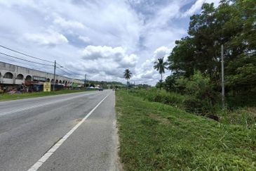 TAMAN JELEBU