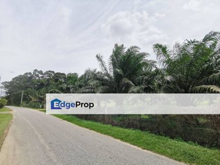 7.745Acres Zone Residential Freehold Land Mainroad Bemban Melaka, Melaka, Bemban