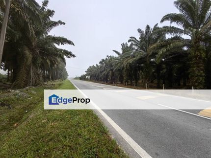 Forty One Acre Agriculture Land Simpang Pertang Jelebu, Negeri Sembilan, Jelebu