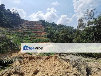 15 Acres Freehold Hilly Agriculture Land Ampangan Seremban, Negeri Sembilan, Seremban