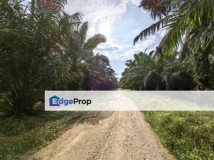 5 Acres Freehold Agriculture Land Jeram Kuala Selangor, Selangor, Kuala Selangor