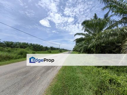 4.1 Acres Land Facing Main Road with Oil Palm Sungai Yu Kuala Selangor, Selangor, Kuala Selangor