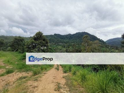 5.6 Acres Durian Farm Tras Raub 2nd Layer From Main Road, Pahang, Raub