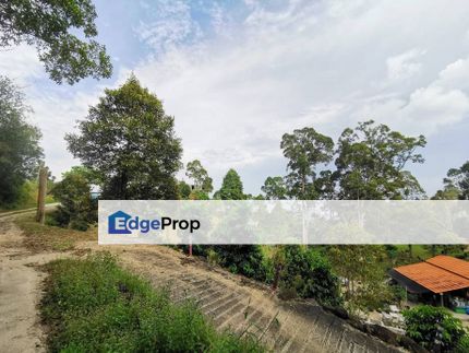 24.2 Acres Hilly Farm with Durian Agarwood Bukit Relau Balik Pulau, Penang, Balik Pulau