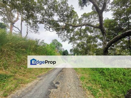 32.65 Acres Hilly Farm with Durian Agarwood Bukit Relau Balik Pulau, Penang, Balik Pulau