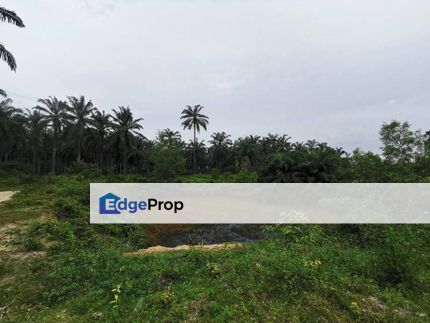 2Acres Agriculture Land Sendayan Tech Valley Industrial Park Seremban, Negeri Sembilan, Seremban