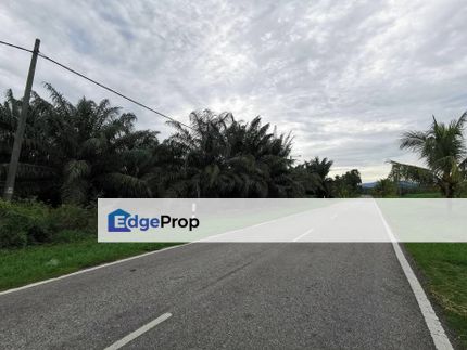 116 Acres Agriculture Oil Palm Kelicap Batu Pahat Minyak Beku Johor, Johor, Batu Pahat