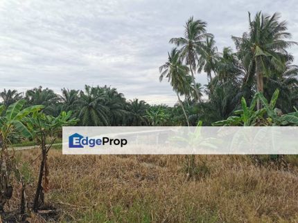 16Acres Agriculture Land Next to Malaka Strait Sea Kelicap Batu Pahat, Johor, Batu Pahat