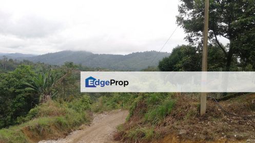 18 Acres Agriculture Land Sang Lee Tras Raub Suitable for Durian, Pahang, Raub