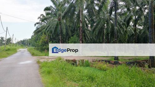 2.5Acres Converted Industry Land Bukit Badong Ijok Kuala Selangor, Selangor, Kuala Selangor