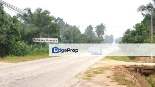 4.15 Acres Oil Palm Agriculture Land Kampung Kuantan Kuala Selangor, Selangor, Kuala Selangor