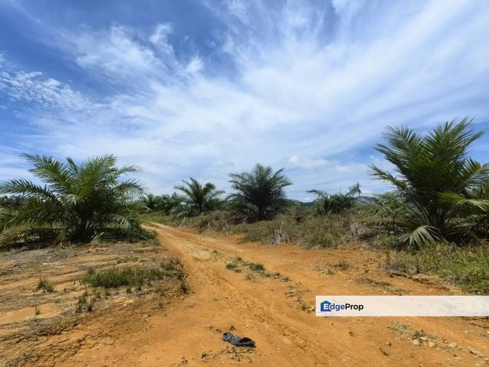 17 Acres Freehold Oil Palm Jerkoh Benta Kuala Lipis, Pahang, Kuala Lipis