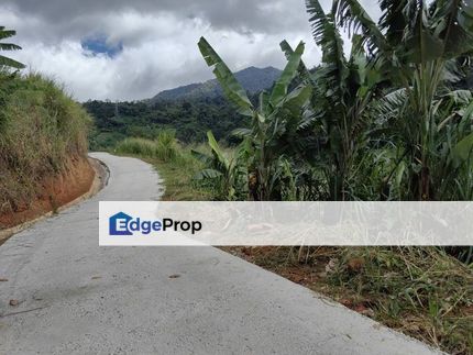 2.25 Acre Agriculture Vege Farm Bukit Tinggi Janda Baik Bentong, Pahang, Bentong