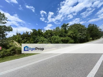 1.5 Acre Freehold Durian Farm Facing Main Road Bentong Town, Pahang, Bentong