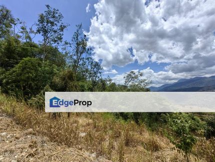 8 Acres Freehold Hilly Land Penjuring Bentong, Pahang, Bentong